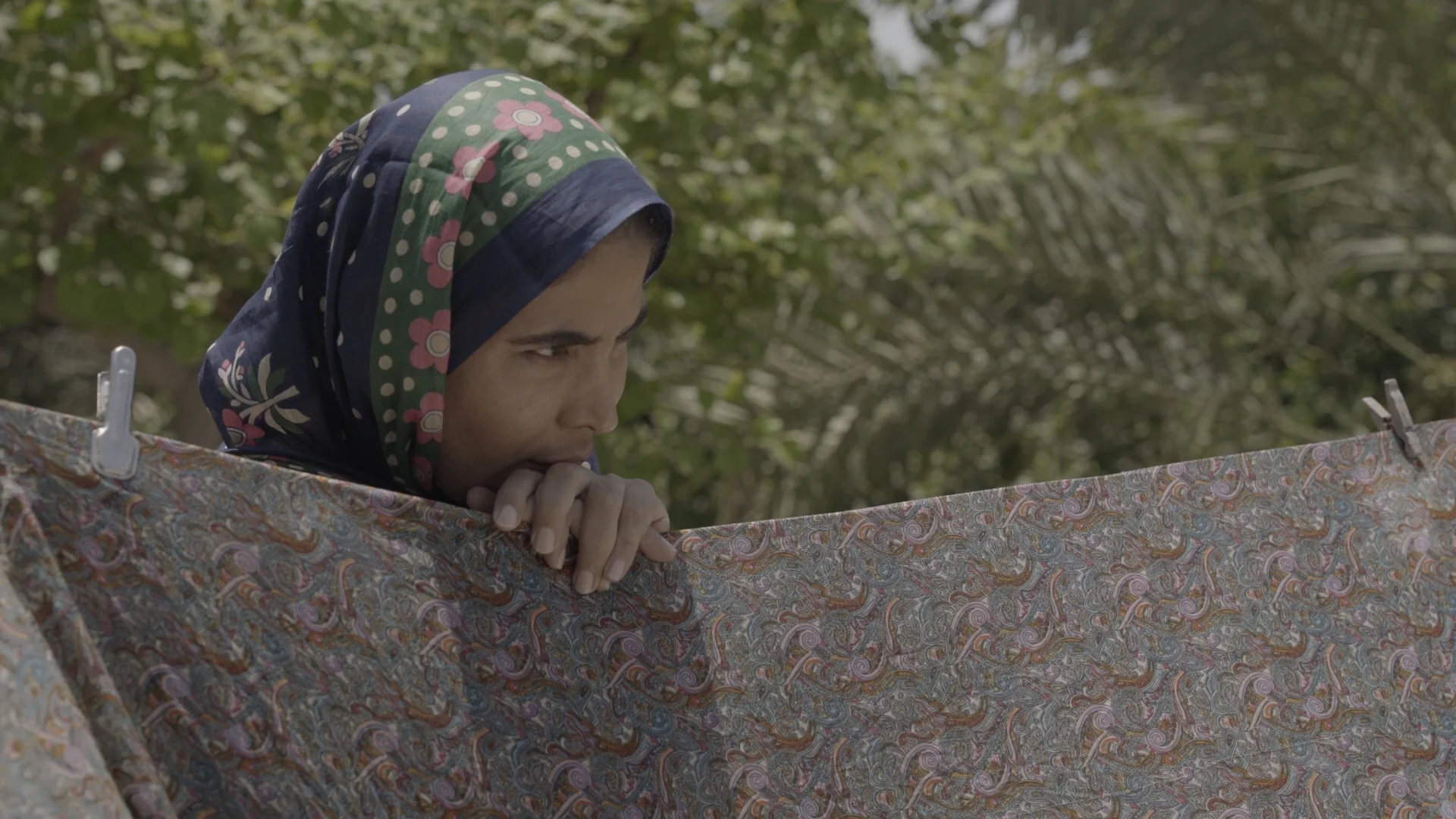 Dandelions — CURATED FILM STILL